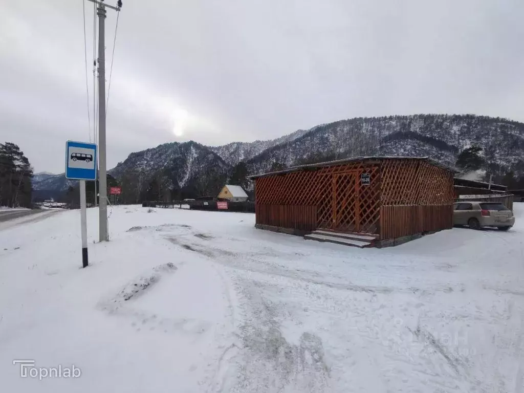 Участок в Алтай, Чемальский район, Узнезинское с/пос, с. Узнезя ул. ... - Фото 1