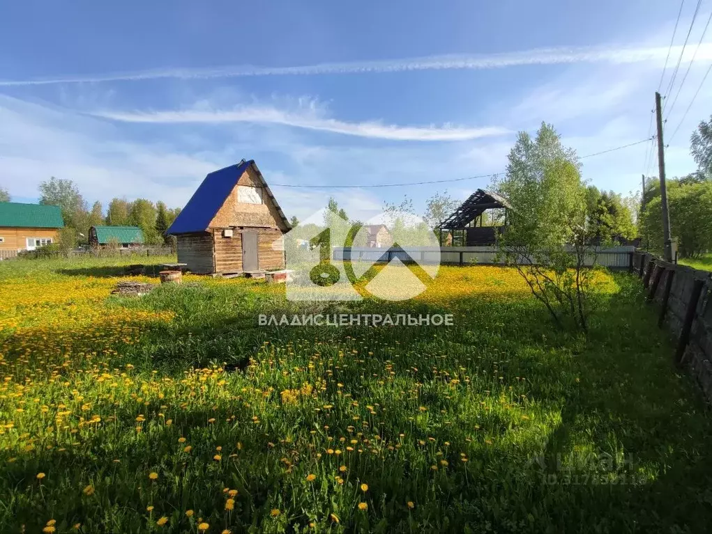 Участок в Новосибирская область, Мошково рп ул. Зеленая, 17 (12.0 ... - Фото 0