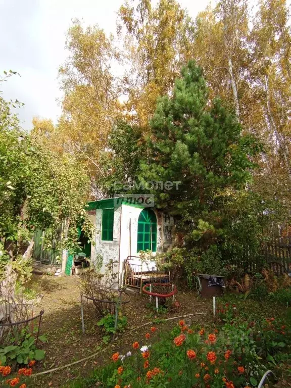 Дом в Омская область, Омск СОСН Мир тер., аллея 10-я (25 м) - Фото 1