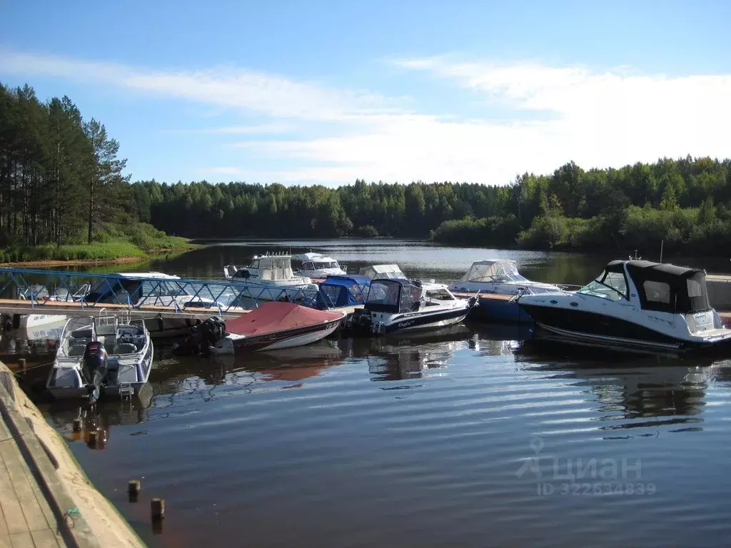Дом в Ярославская область, Брейтовский муниципальный округ, д. ... - Фото 2