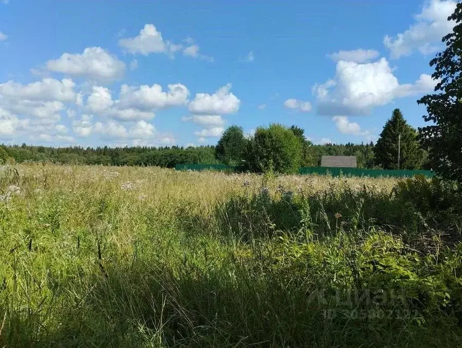 Участок в Ленинградская область, Гатчинский район, д. Хиндикалово  ... - Фото 0