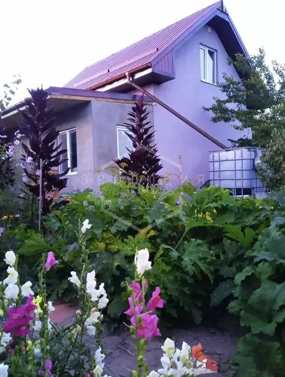 Дом в Светловский городской округ, посёлок Взморье, СНТ Рыбак, ... - Фото 1