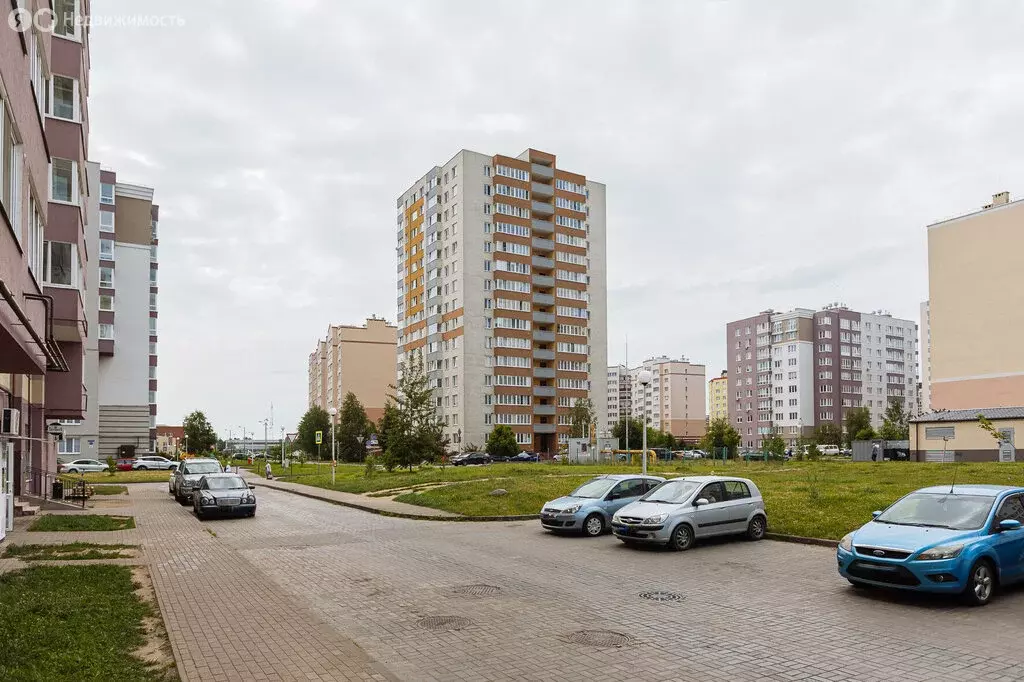 Помещение свободного назначения (47.7 м) - Фото 1