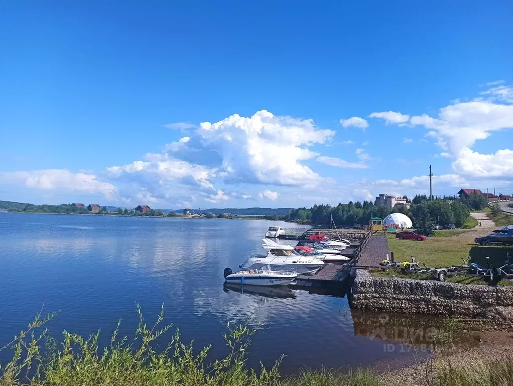 Участок в Пермский край, Добрянский городской округ, с. Шемети  (10.0 ... - Фото 1