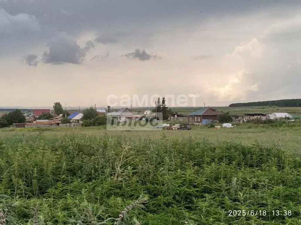 Участок в Челябинская область, Уйский муниципальный округ, д. ... - Фото 1