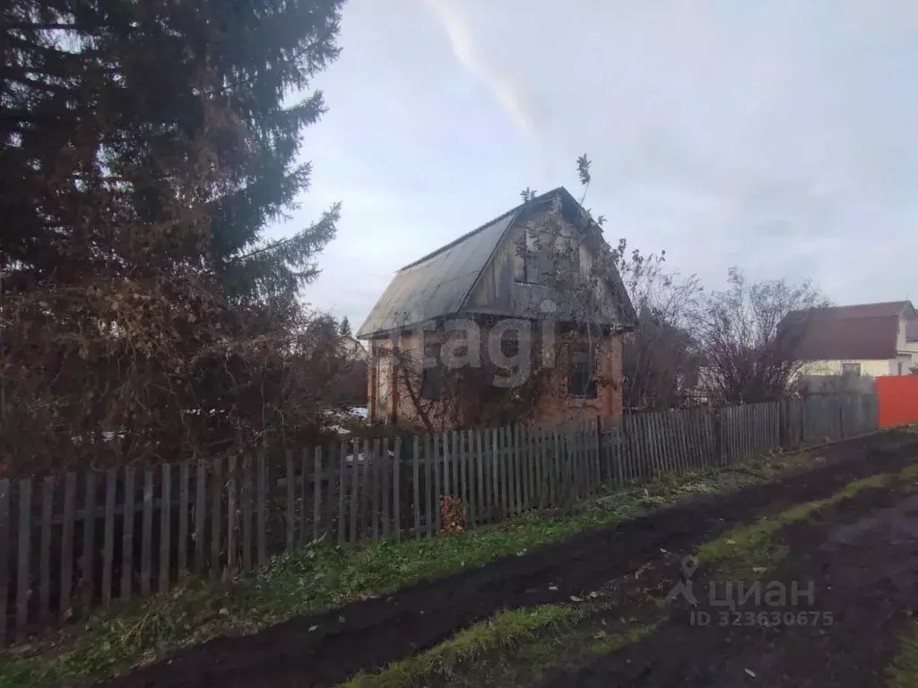 Дом в Омская область, Омск Сатурн нижний СНТ, аллея 9-я, 405 (36 м) - Фото 1