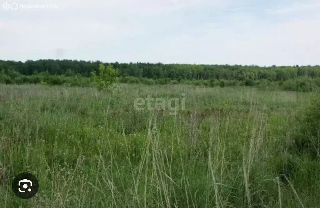 Участок в Пермский край, село Берёзовка (35 м) - Фото 1