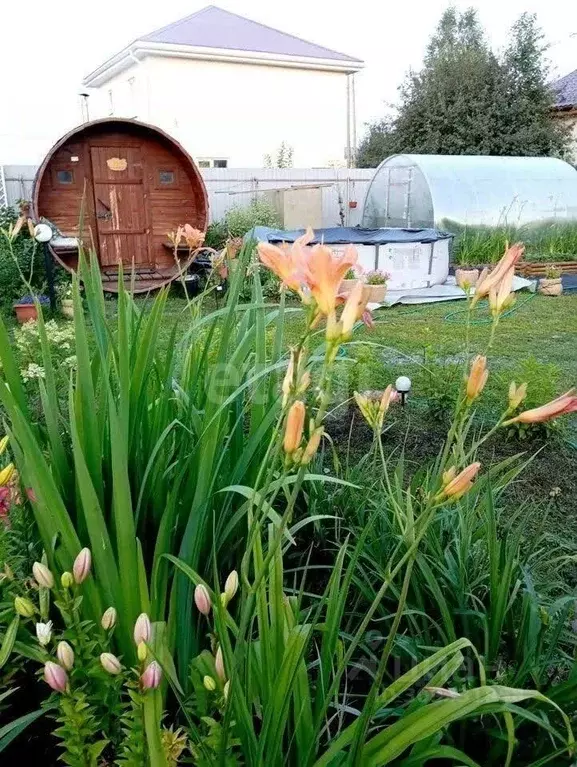 Дом в Свердловская область, Белоярский городской округ, с. Косулино ... - Фото 1