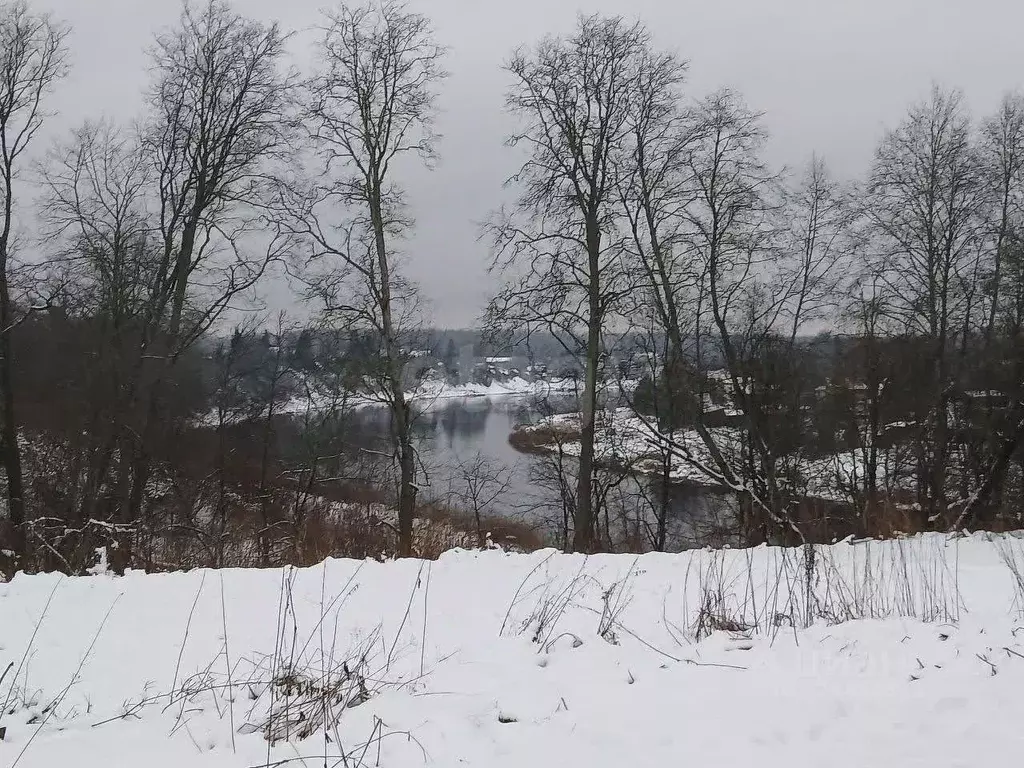 Участок в Ленинградская область, Волховский район, Колчановское с/пос, ... - Фото 1