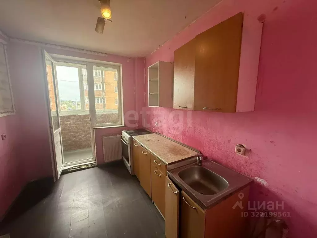 1-к кв. Ленинградская область, Никольское Тосненский район, ... - Фото 1