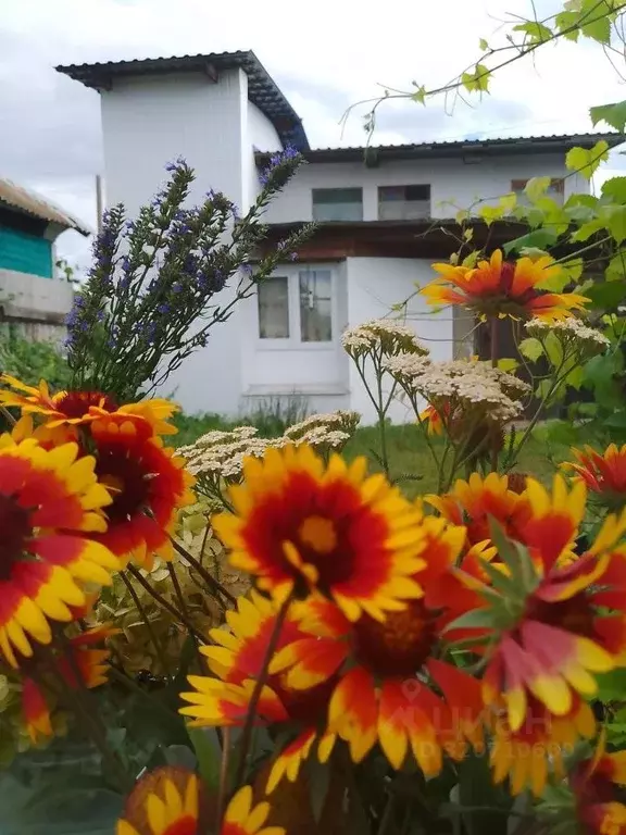 Дом в Саратовская область, Вольский район, Сенное муниципальное ... - Фото 0