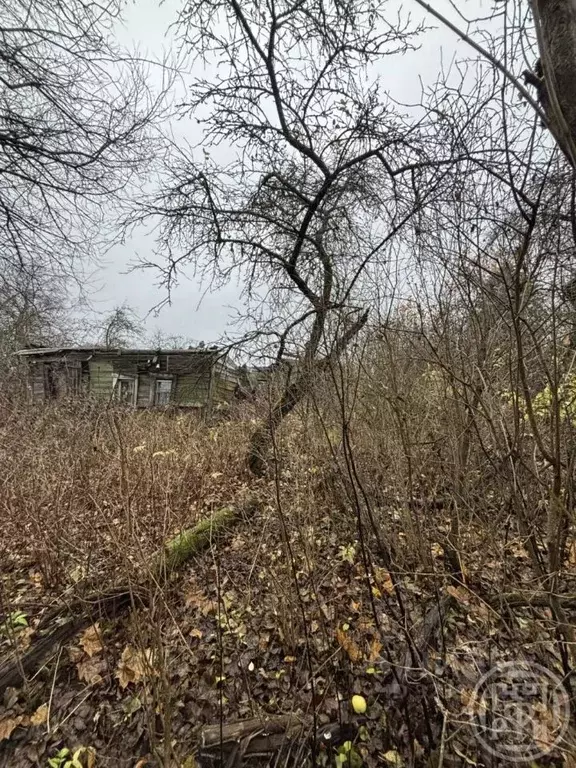 Участок в Ленинградская область, Ломоносовский район, Пениковское ... - Фото 1