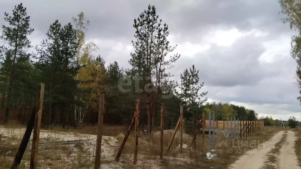 Участок в Воронежская область, Рамонский район, Новоживотинновское ... - Фото 1