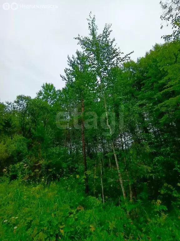 Участок в Тюмень, коттеджный посёлок Тополя (10 м) - Фото 1