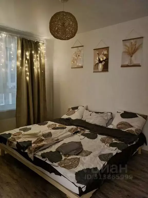 1-к кв. Челябинская область, Челябинский городской округ, пос. ... - Фото 2