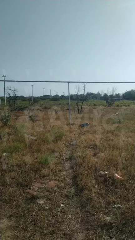 Дача 50 м на участке 14,5 сот. - Фото 1