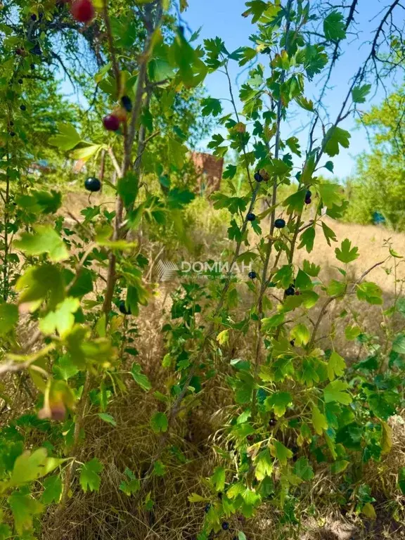 Участок в Ростовская область, Октябрьский район, пос. Персиановский, ... - Фото 1