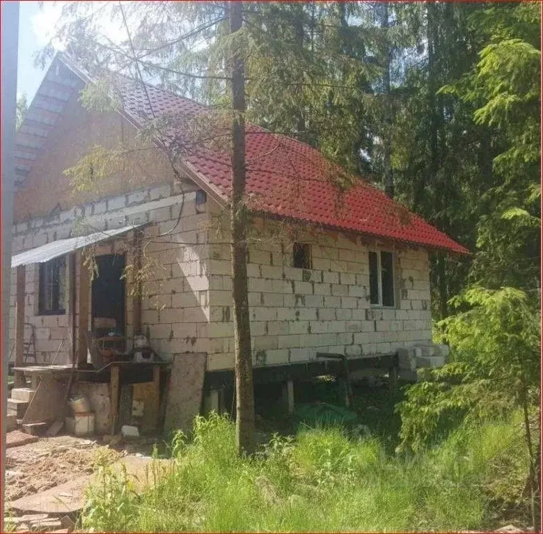 Дом в Ленинградская область, Лужский район, пос. Мшинская  (55 м) - Фото 1