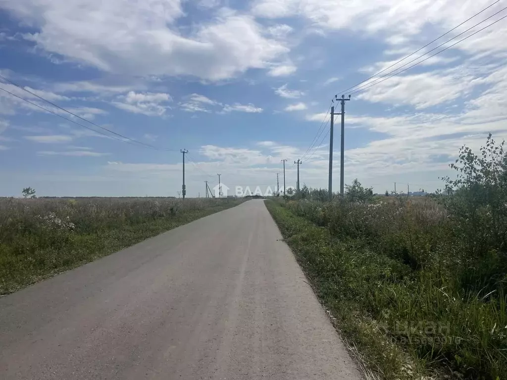 Участок в Владимирская область, Суздальский район, Новоалександровское ... - Фото 0