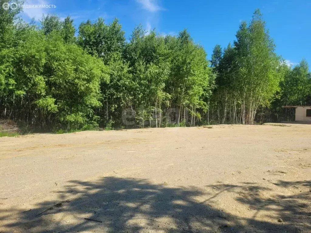 Участок в Амурская область, Благовещенск (28 м) - Фото 1