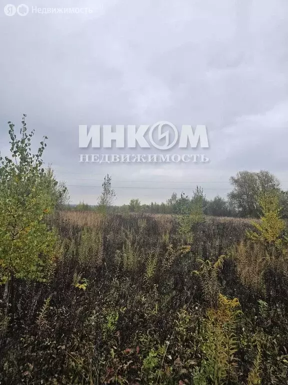 Участок в Московская область, Можайский муниципальный округ, КП ... - Фото 0