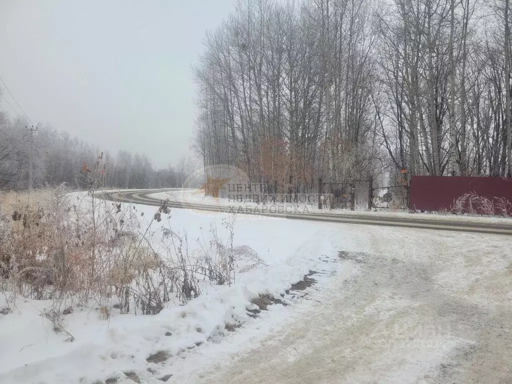 Участок в Хабаровский край, Хабаровский район, с. Восточное ул. ... - Фото 2