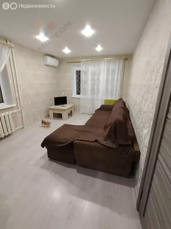1-комнатная квартира: Краснодар, улица Стасова, 141 (31.4 м) - Фото 0