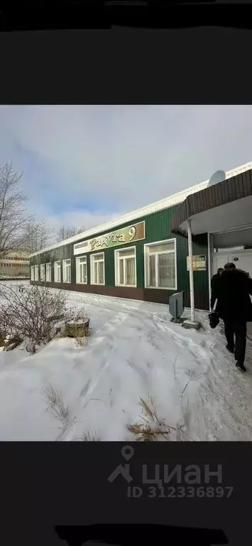 Помещение свободного назначения в Свердловская область, Новоуральск ... - Фото 0