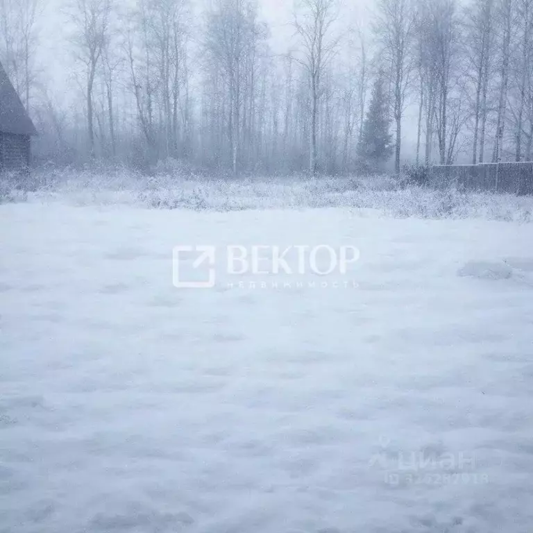 Участок в Костромская область, Костромской район, Самсоновское с/пос, ... - Фото 1