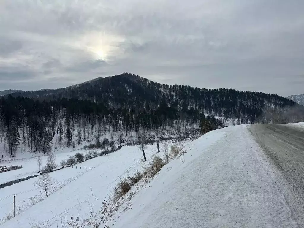 Участок в Алтай, Чемальский район, Узнезинское с/пос, с. Узнезя  ... - Фото 0