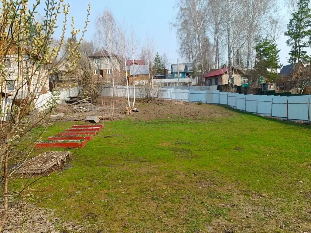 Участок в Новосибирская область, Новосибирск Дружба садовое ... - Фото 0