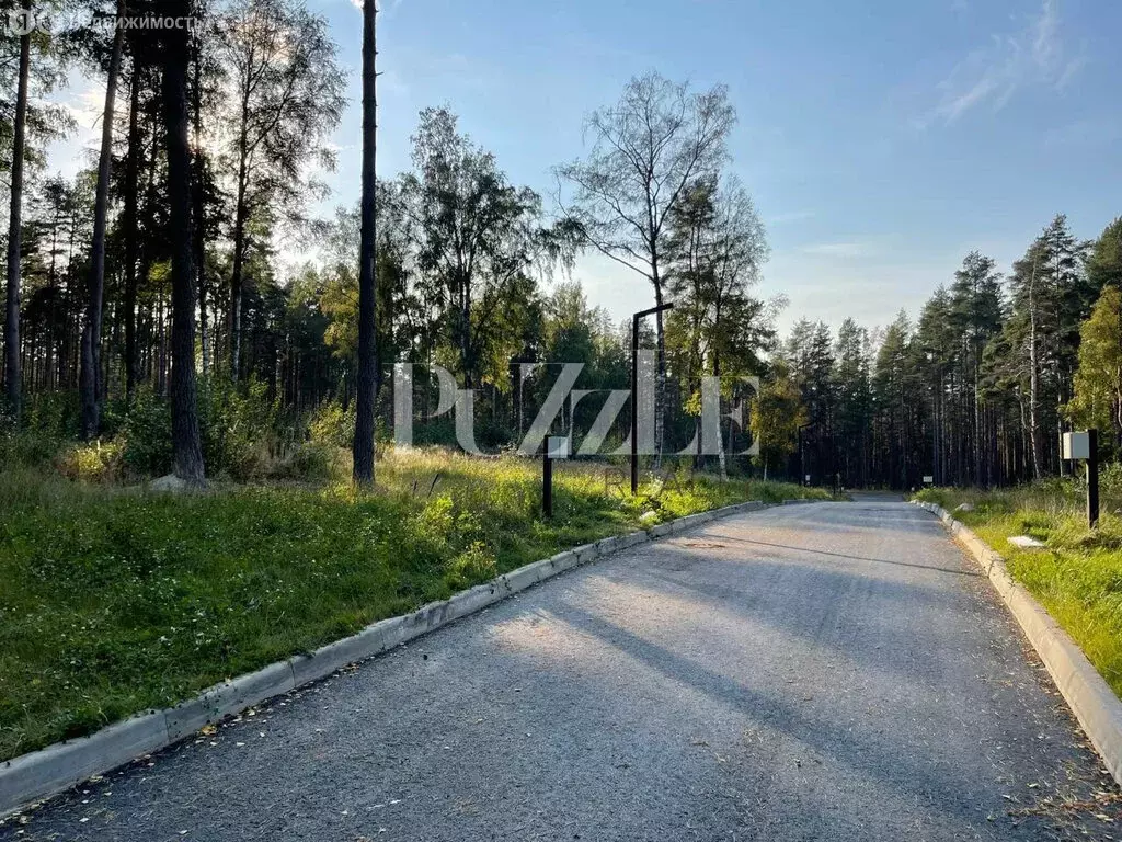 Участок в деревня Варшко, Сосновая улица (25 м) - Фото 1