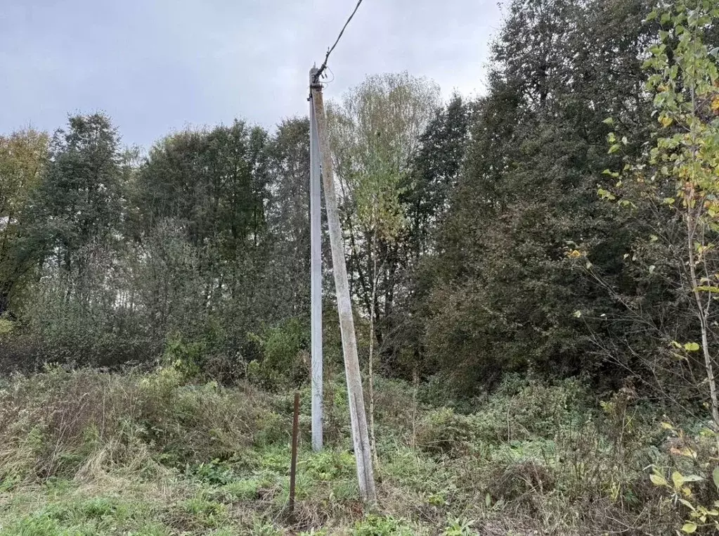 Участок в Московская область, Коломна городской округ, с. Акатьево ул. ... - Фото 1
