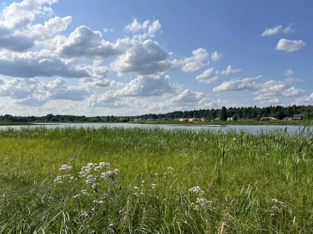 Участок в Московская область, Наро-Фоминский городской округ, д. ... - Фото 1