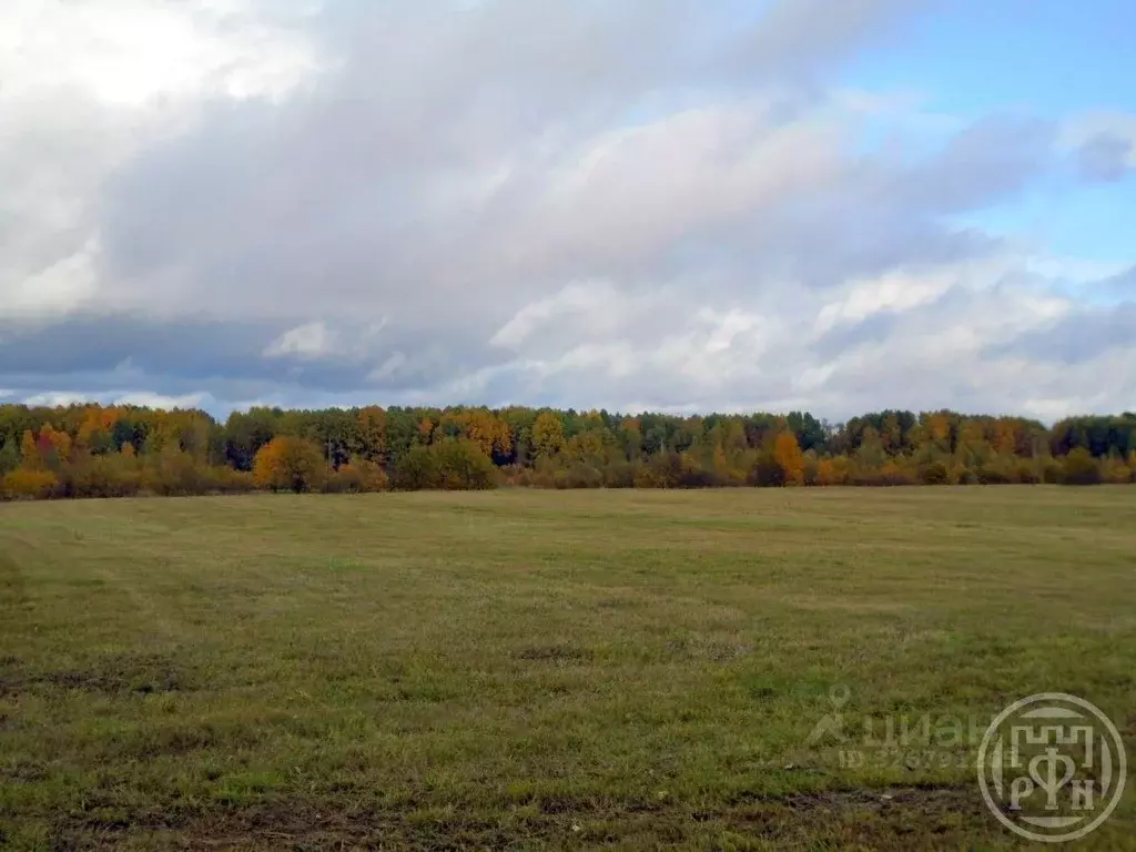 Участок в Ленинградская область, Выборгский район, Красносельское ... - Фото 2