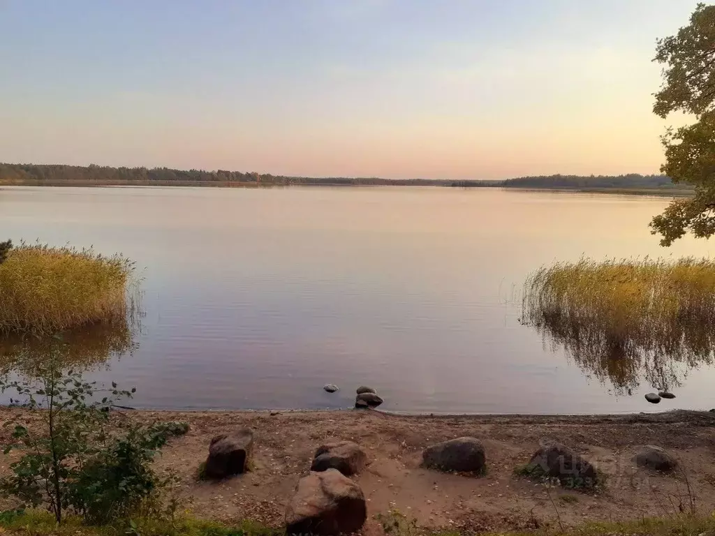 Участок в Ленинградская область, Гатчинский муниципальный округ, д. ... - Фото 2