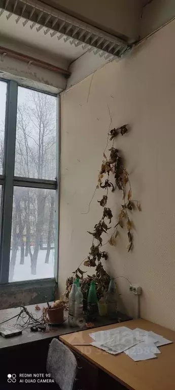 Помещение свободного назначения в Москва пос. Знамя Октября, 31 (23 м) - Фото 2