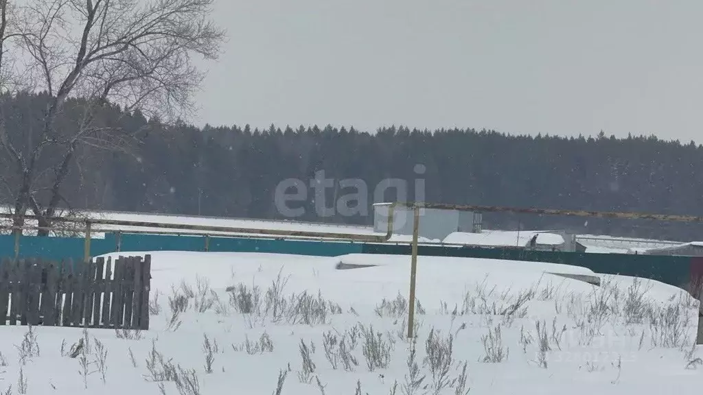 Участок в Челябинская область, Пласт Северный пер. (15.86 сот.) - Фото 2