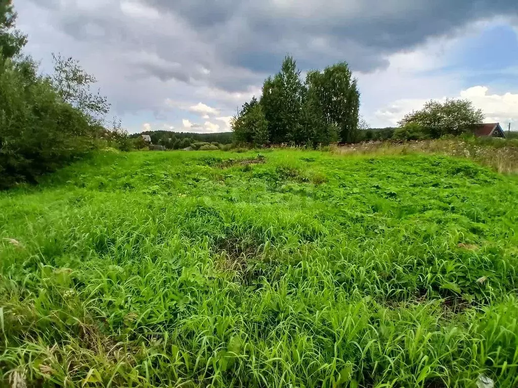 Участок в Свердловская область, Горноуральский муниципальный округ, с. ... - Фото 1