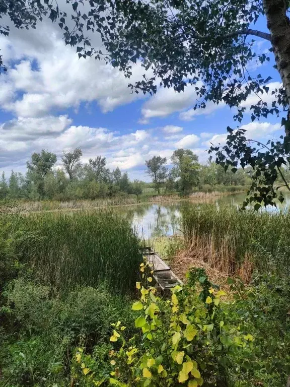Дом в Саратовская область, Марксовский район, Подлесновское ... - Фото 1