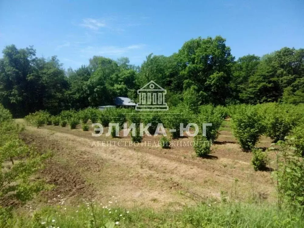 Участок в Краснодарский край, Туапсинский муниципальный округ, ... - Фото 2