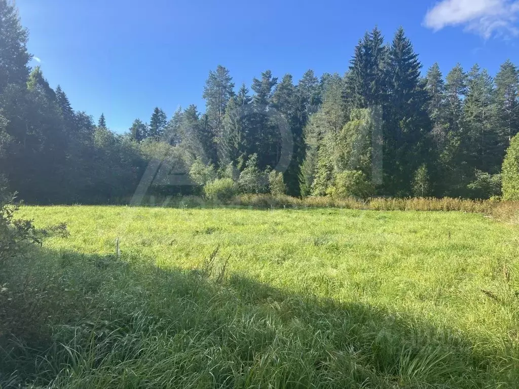 Участок в Ленинградская область, Приозерский район, Мельниковское ... - Фото 2