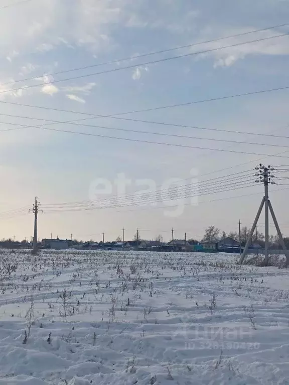 Участок в Амурская область, Благовещенский район, с. Волково  (14.5 ... - Фото 2
