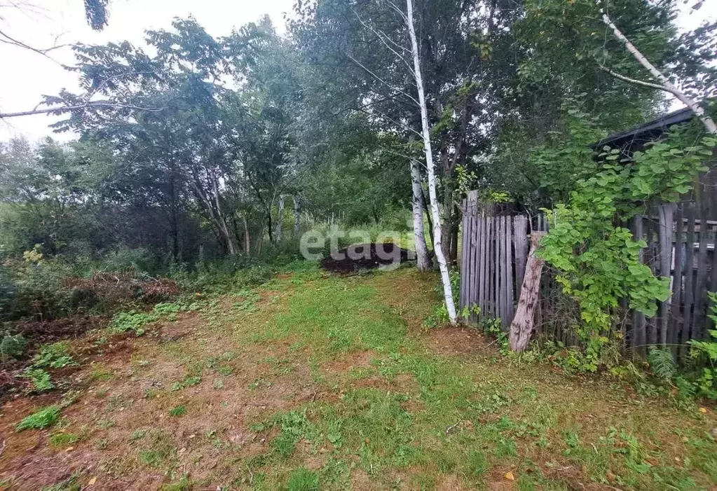 Участок в Амурская область, Благовещенск  (12.0 сот.) - Фото 1
