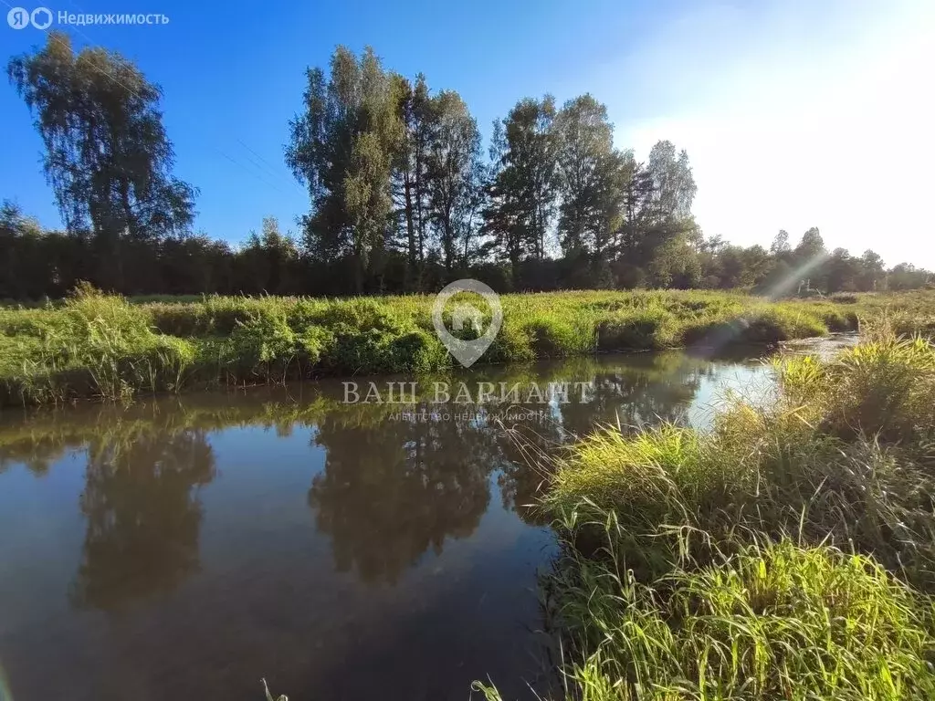 Участок в Ярославская область, Рыбинский муниципальный округ, Волжское ... - Фото 2