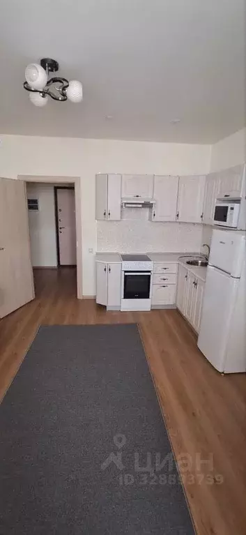 Студия Санкт-Петербург просп. Королева, 57к1 (25.3 м) - Фото 2