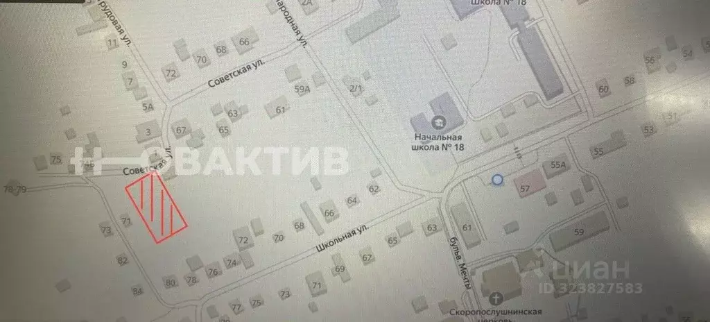 Участок в Новосибирская область, Новосибирский район, Станционный ... - Фото 1