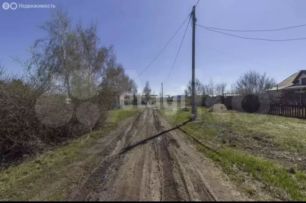 Участок в Омск, территория СОСН Интернационалист (10.03 м) - Фото 2