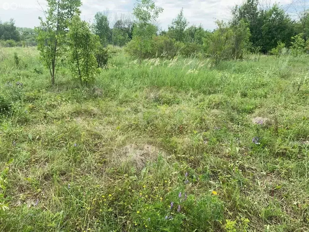 Участок в Воронеж, Туровская улица (15 м) - Фото 1