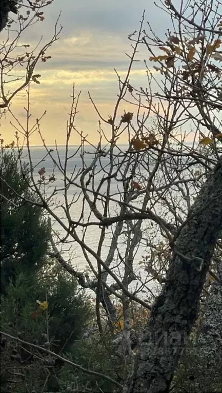 Участок в Севастополь Севастопольская зона ЮБК кв-л, 2Б/5 (4.0 сот.) - Фото 1